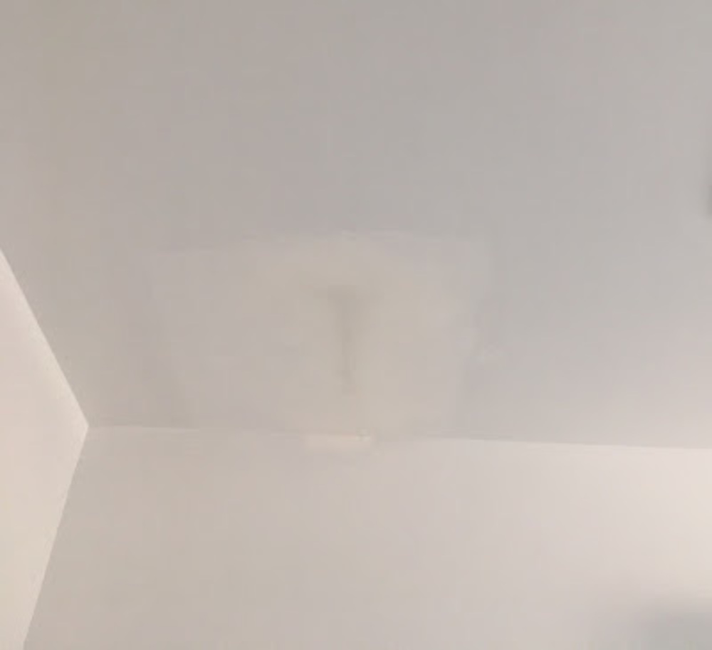 Meet your Posher, Zack